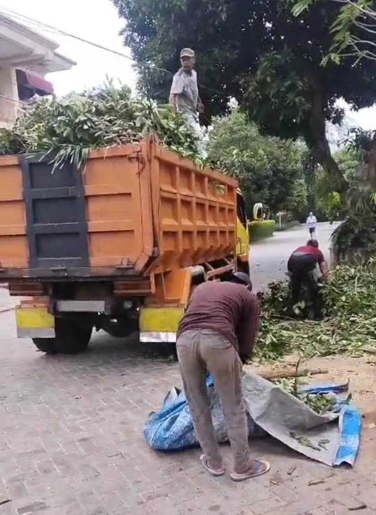 Pembersihan Semak Belukar Pekarangan Pabrik